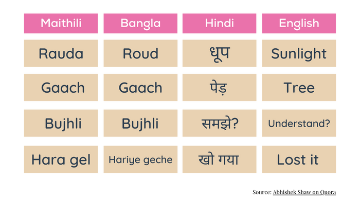 Mithila's Bengal Connection: A Conversation with Shalini Ji