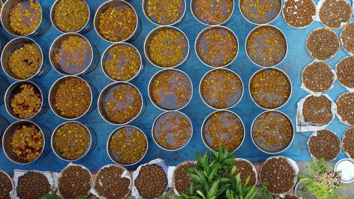 Homemade Pickles Sun-drying